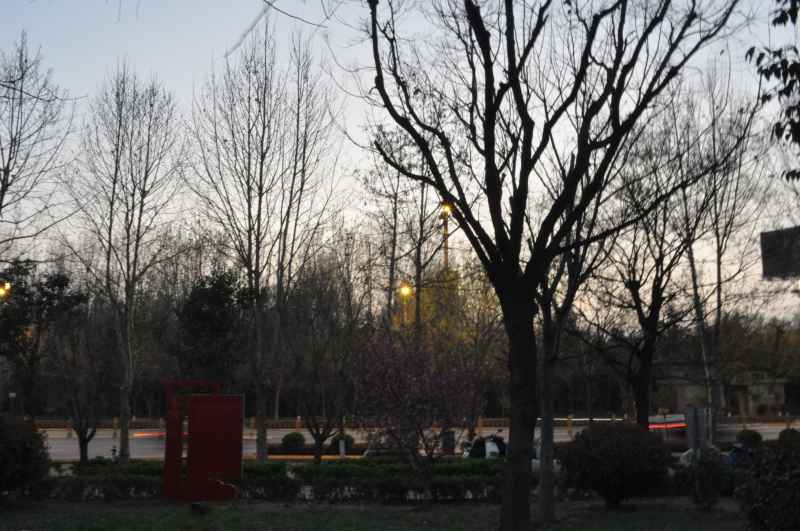 路灯