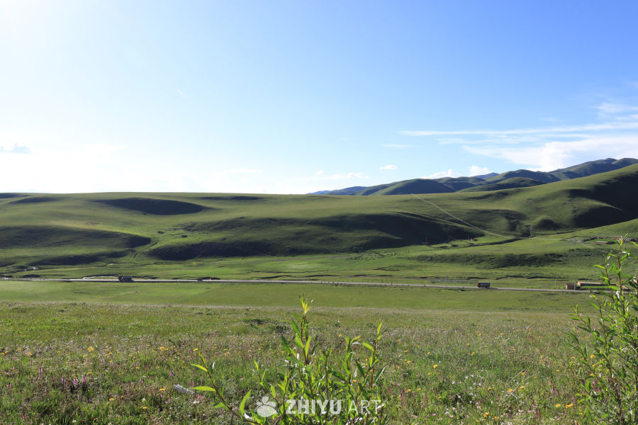 草原上的宁静时光