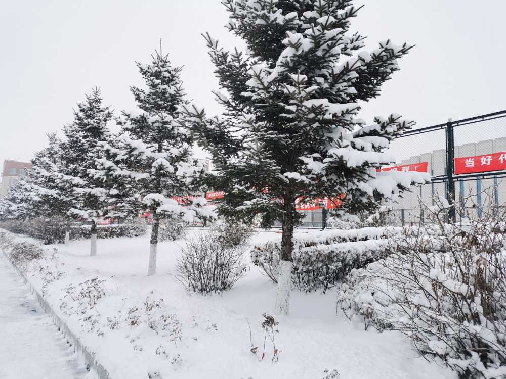冬季雪景