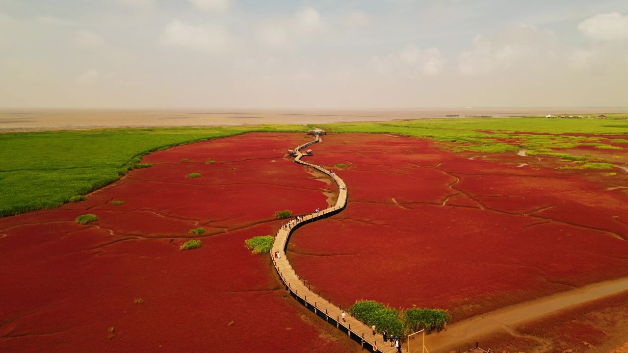 辽宁盘锦红海滩
