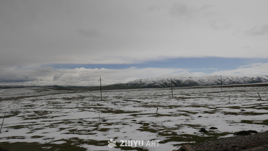 雪山下的草地