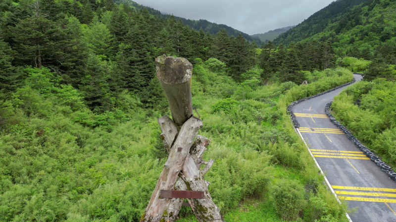 航拍湖北神农架景区神农营