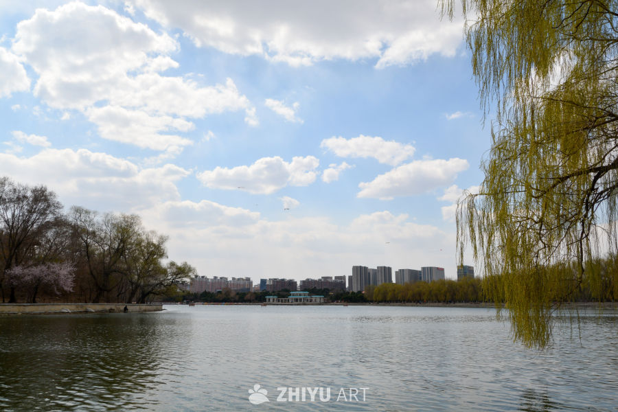沈阳北陵公园柳堤春色