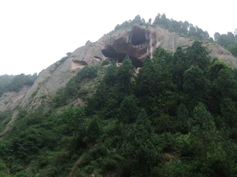 绿树簇拥