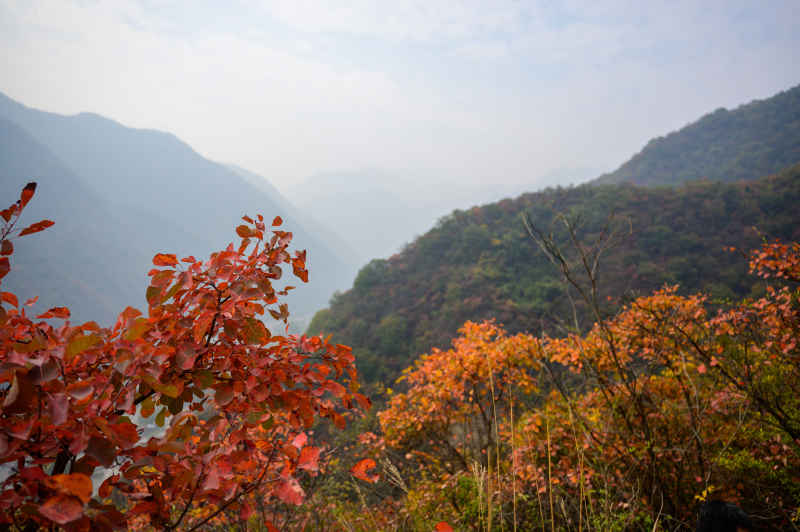 陕西秦岭圭峰山 1