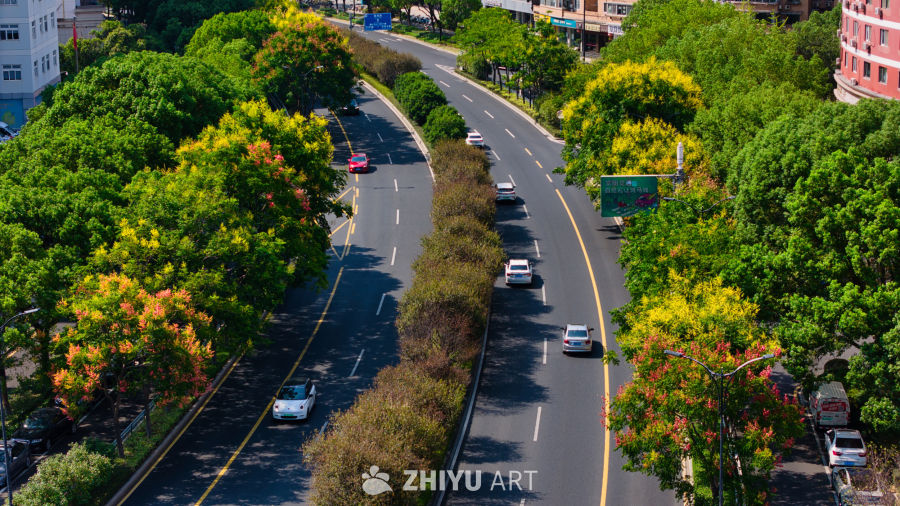 秋日城市绿道车流图