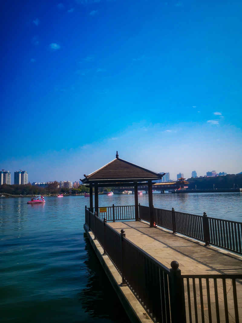 湖南长沙烈士公园年嘉湖风景摄影图