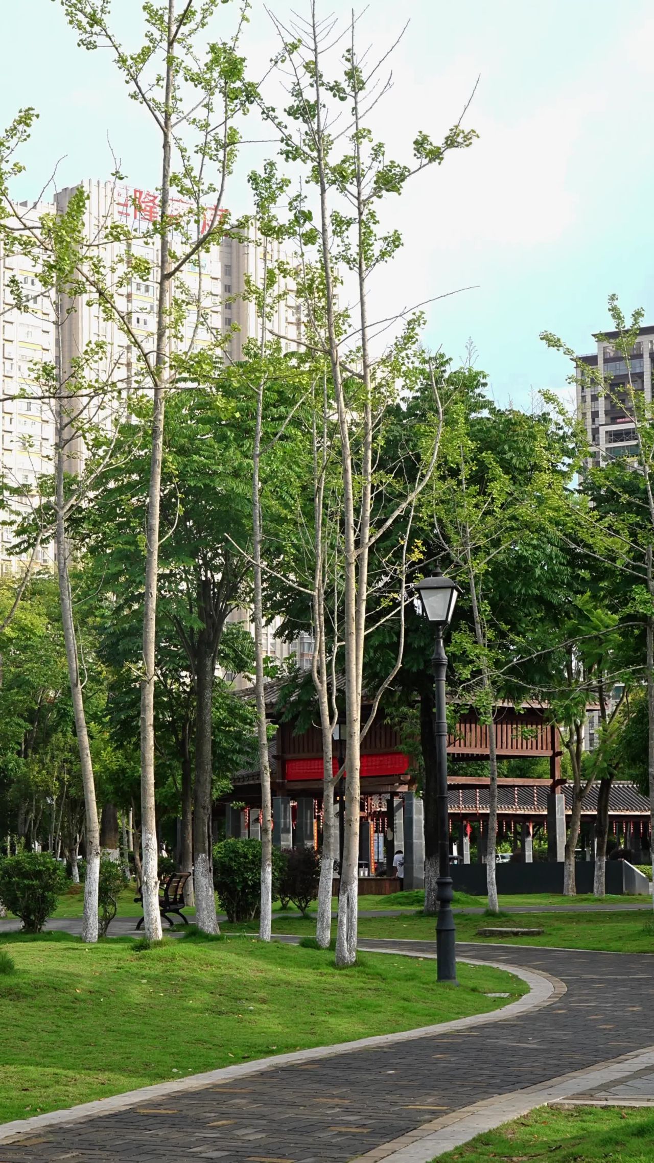 城市公园漫步