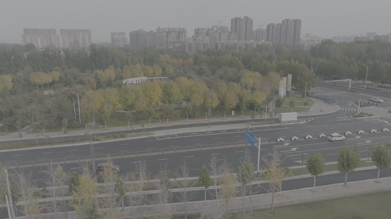 城市绿洲
