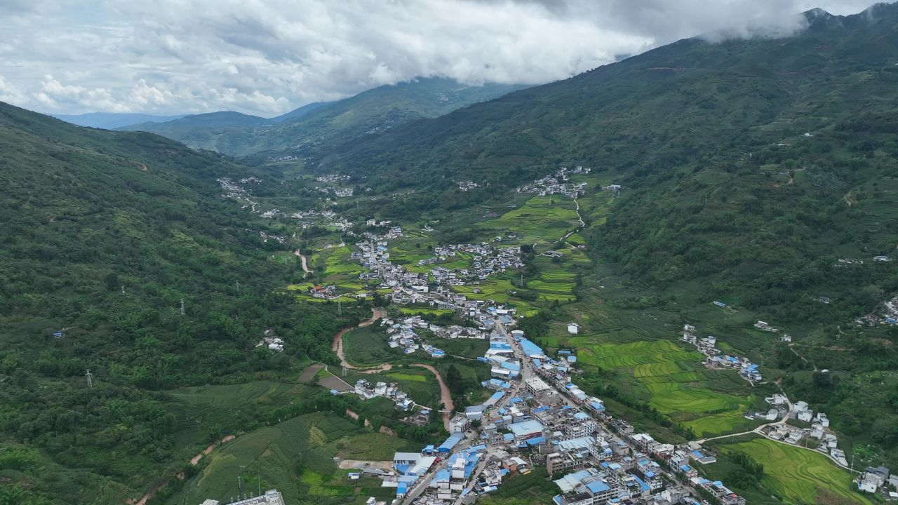 丰收的喜悦 19