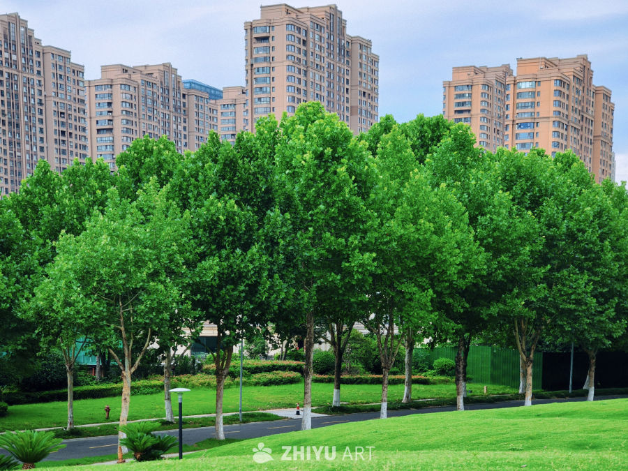 宁静的城市绿地