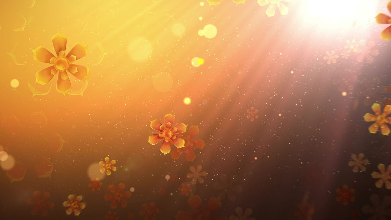 粒子舞台背景视频 28