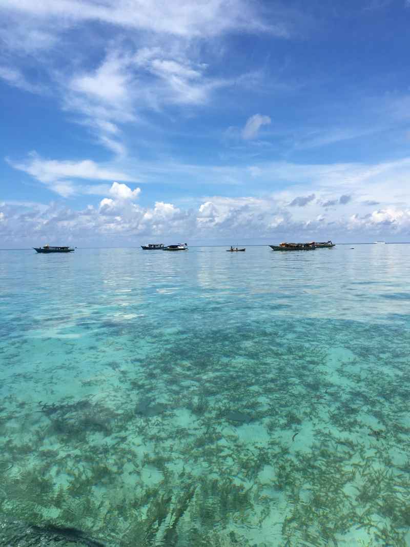 马来西亚仙本那的海
