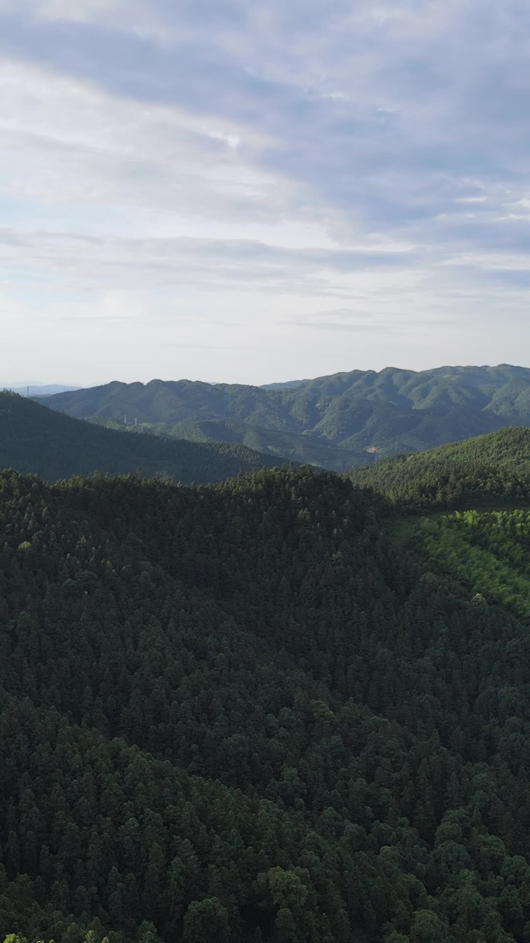 山间绿意盎然