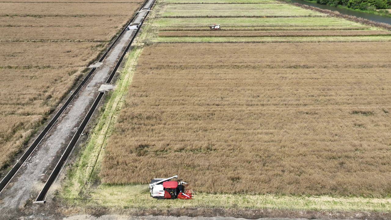 4K航拍昆山农业夏收 23