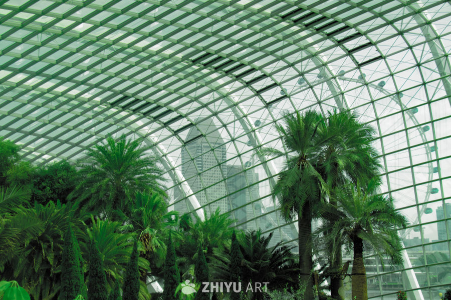 新加坡植物园