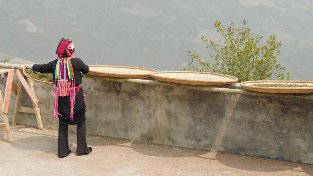 山间晾茶人