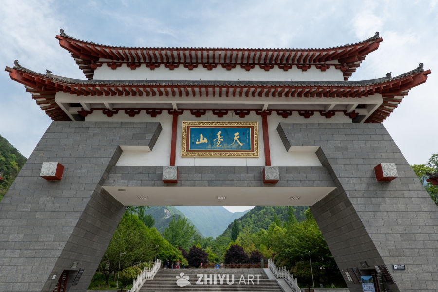森林公园 32
