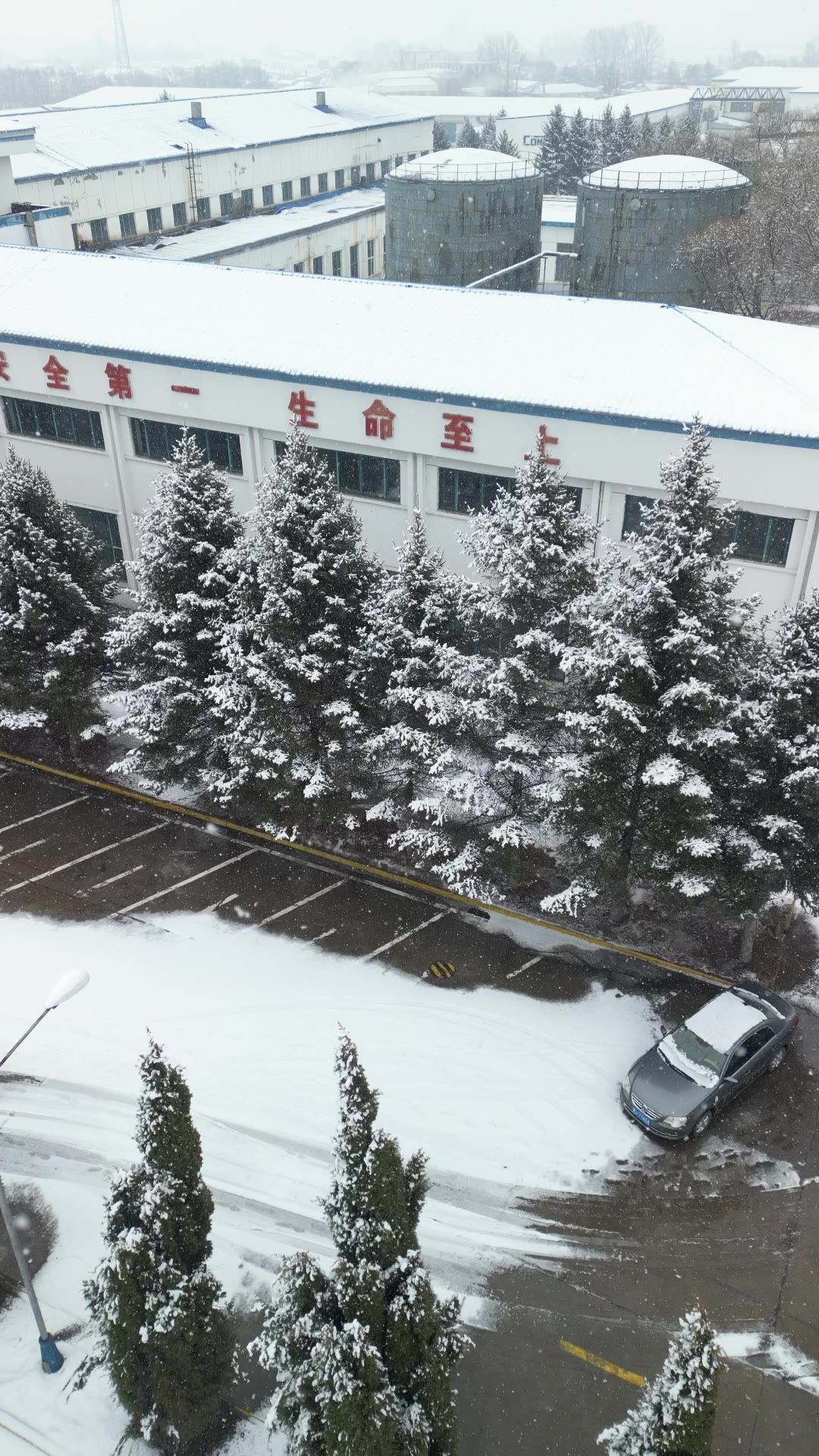 航拍 下雪 雪景 竖屏素材 5