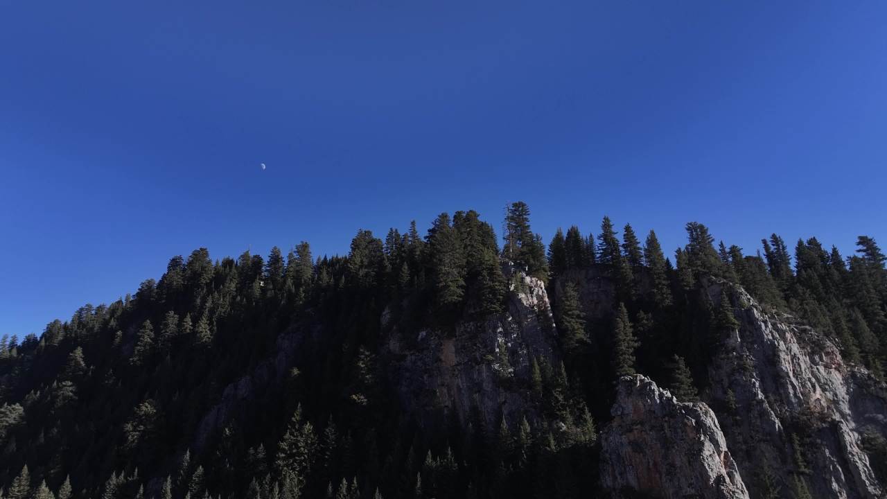 壮观森林峡谷全景航拍