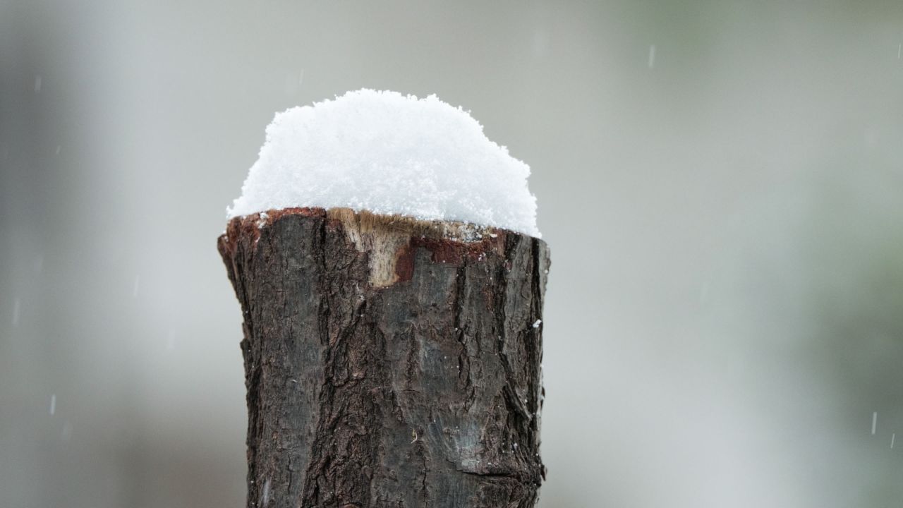 冬天冬季下雪花飘雪白雪皑皑4K