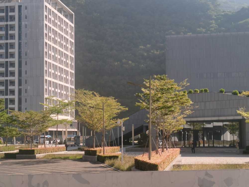 建筑  城市   植物   都市区
