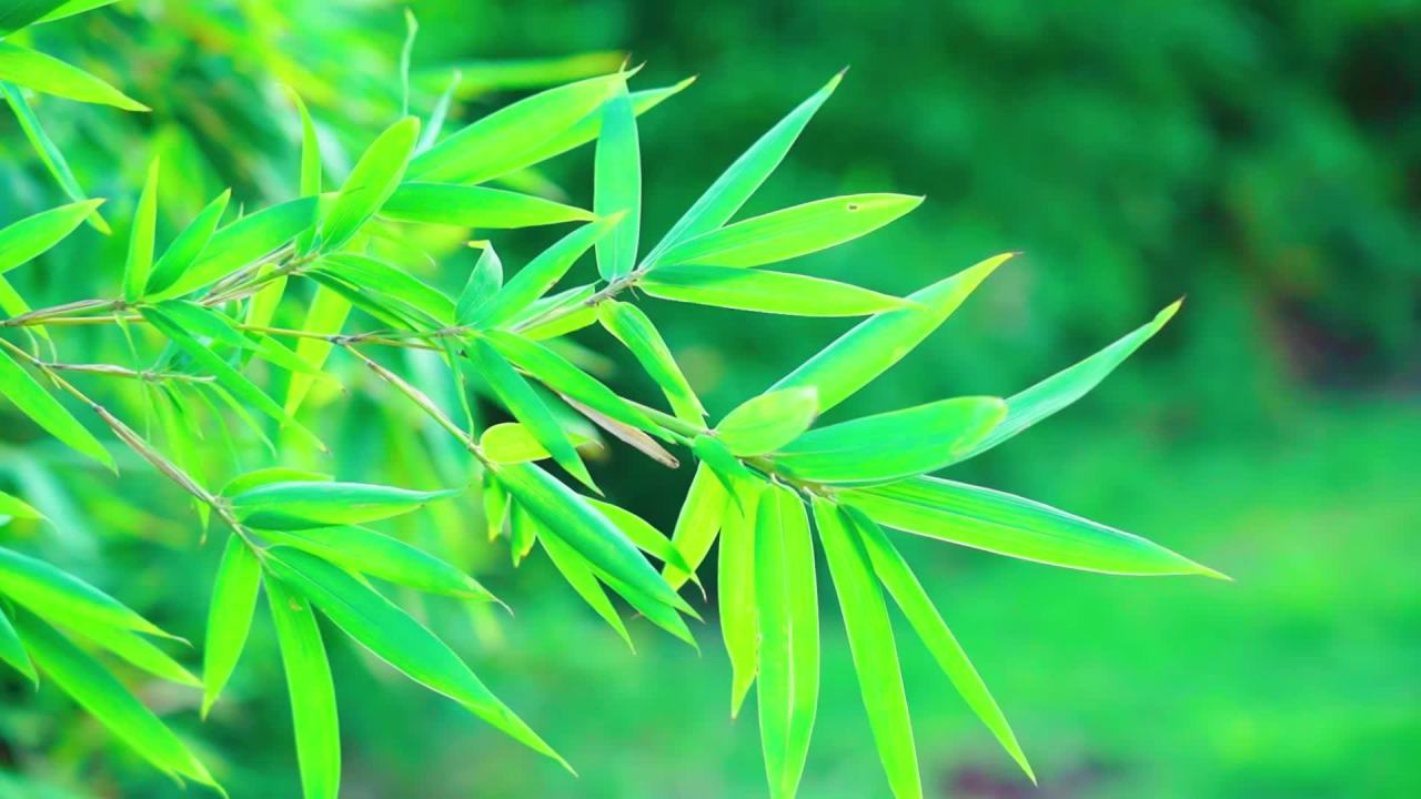 自然 4
