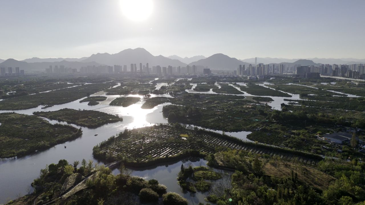 温州三垟湿地风光 22