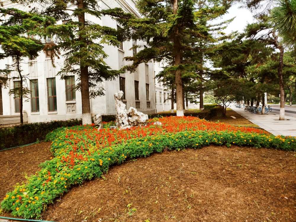 东北大学风景2