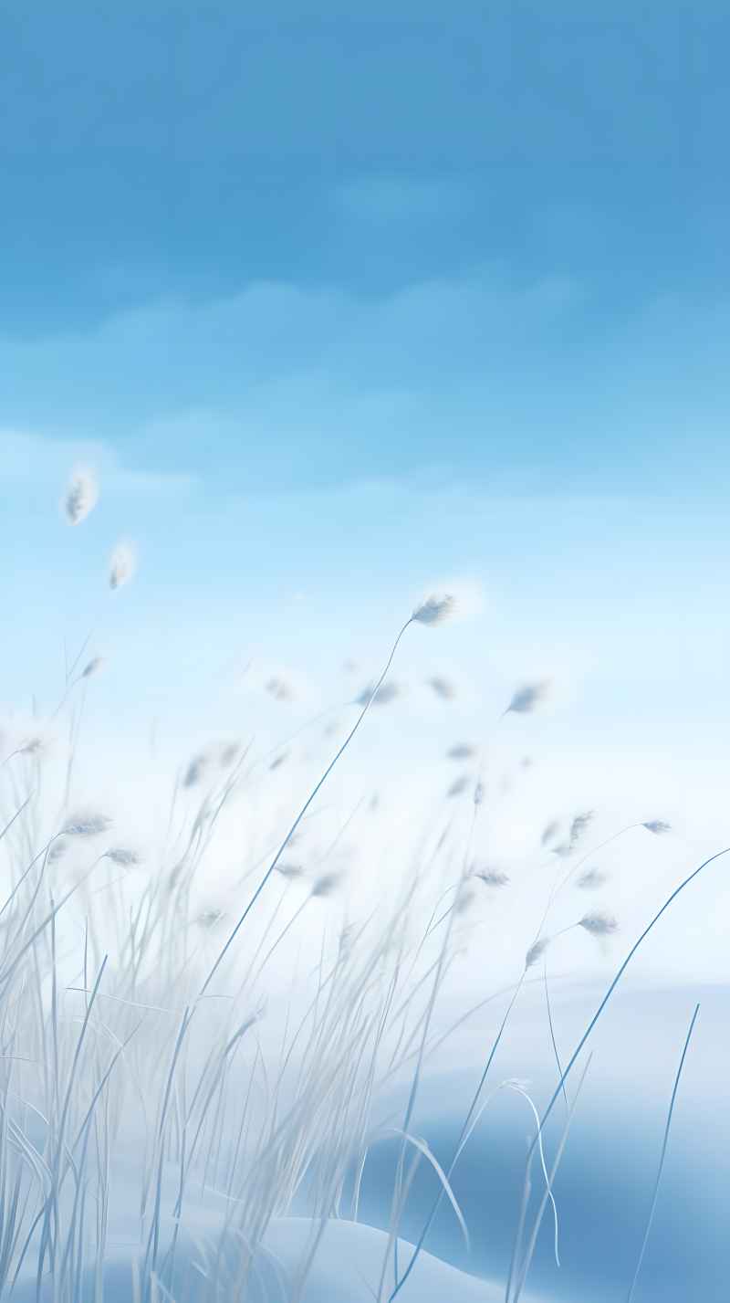 冬季冬天雪景唯美背景 9