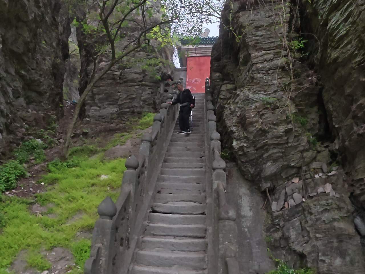 石阶上的自然漫步