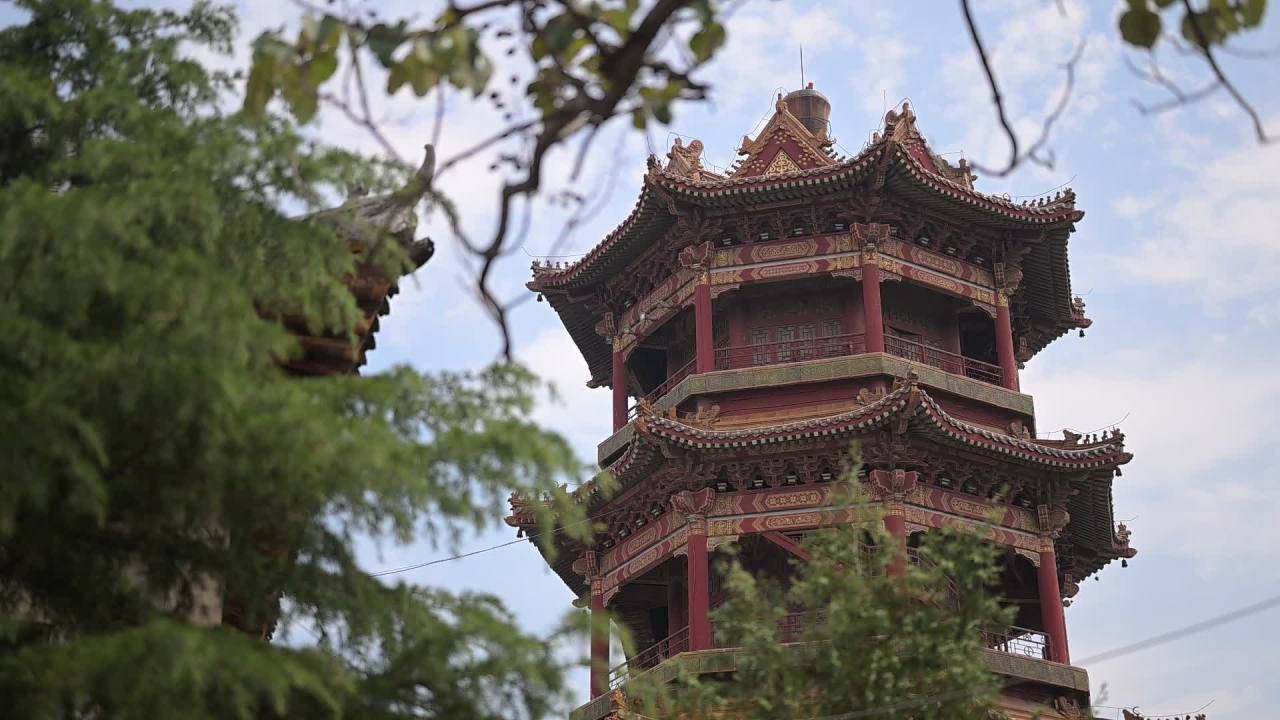 【实拍样片】尼康Z8 8K实拍原片视频 9