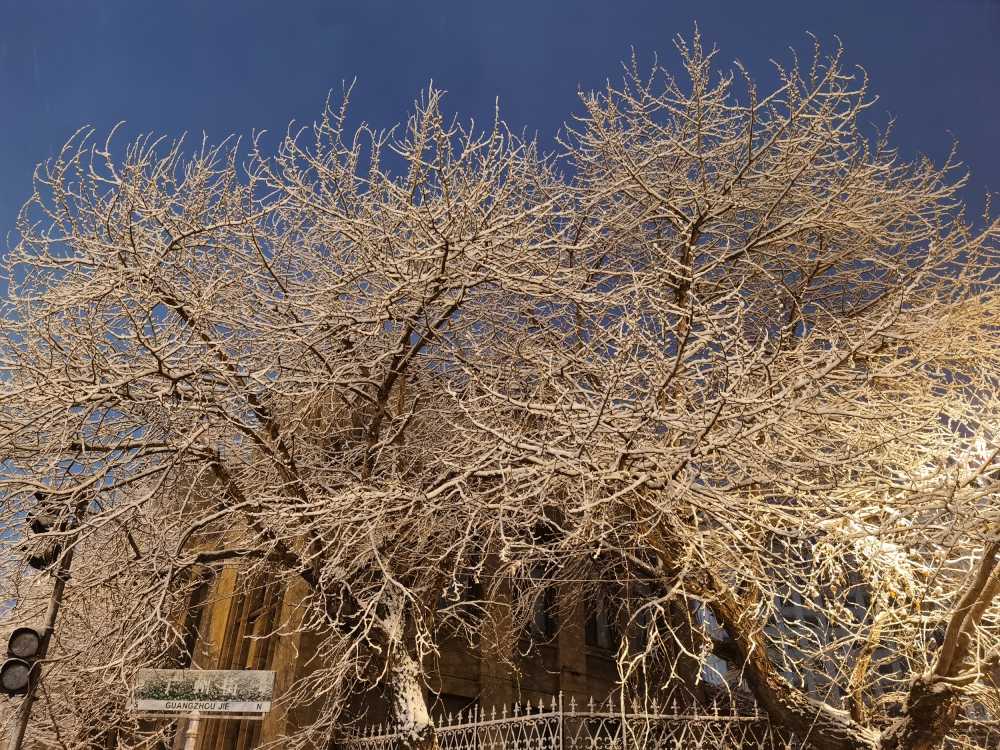 下雪了