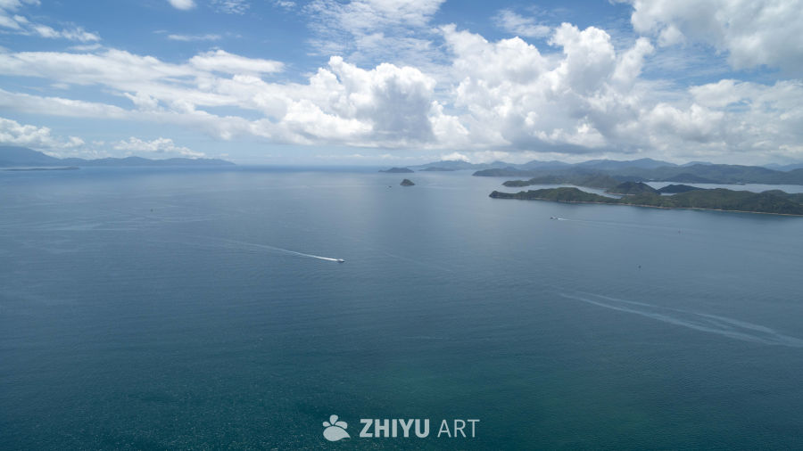 海