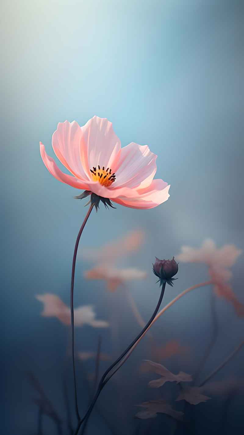 花的艺术高清背景图 60