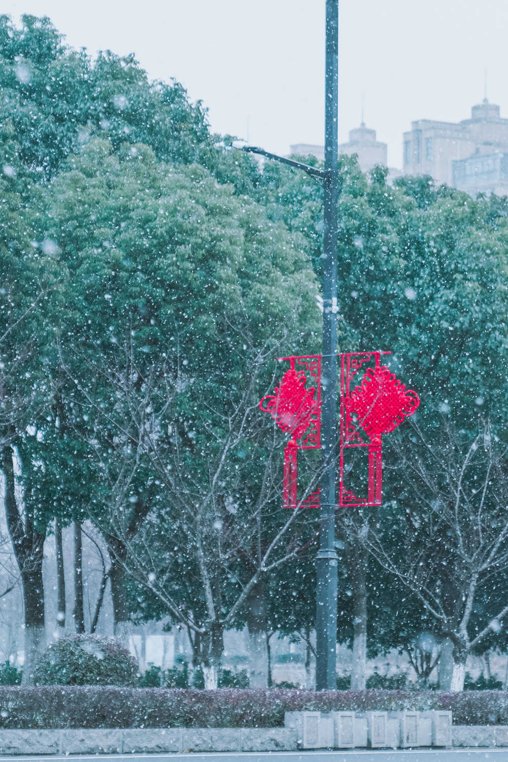 瑞雪兆丰年