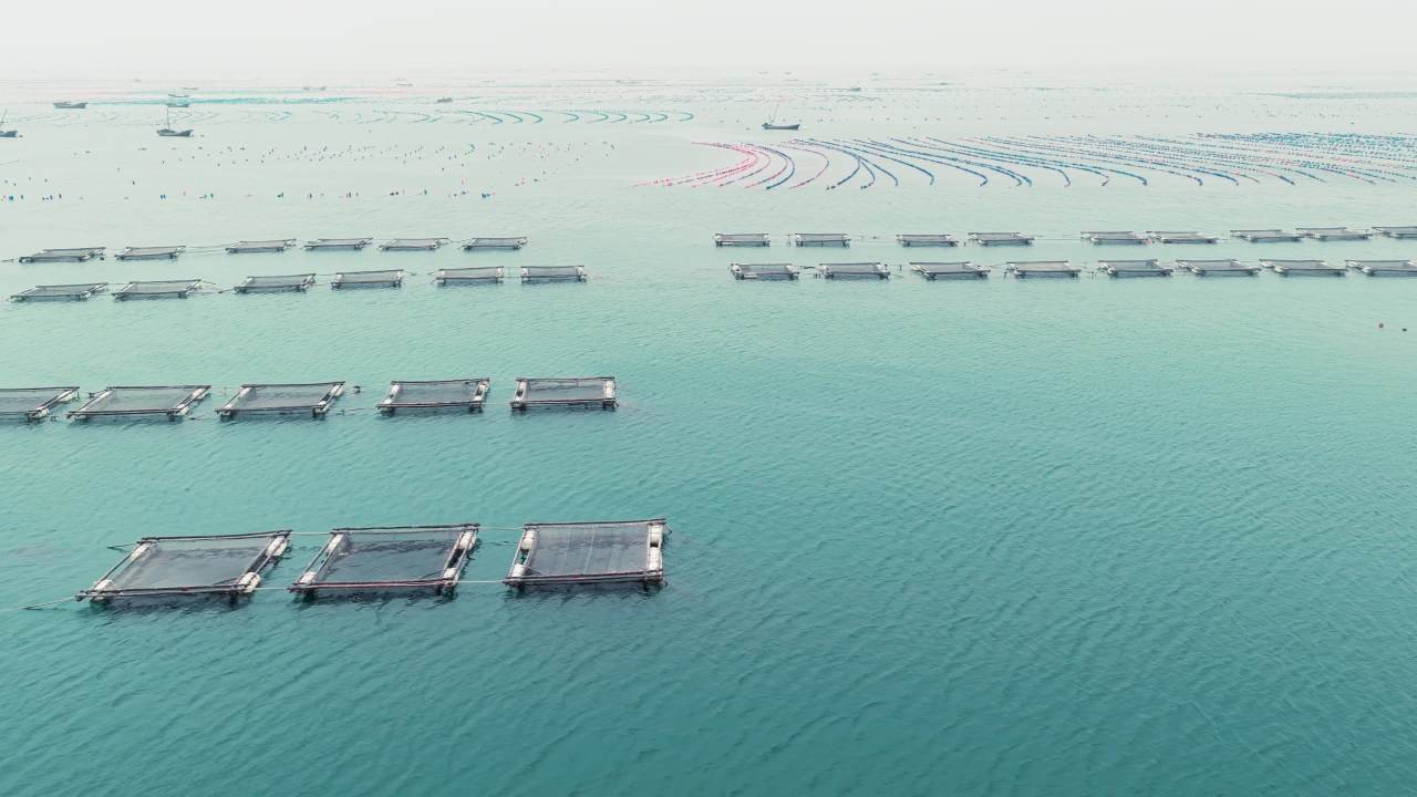 航拍长海岛港口码头