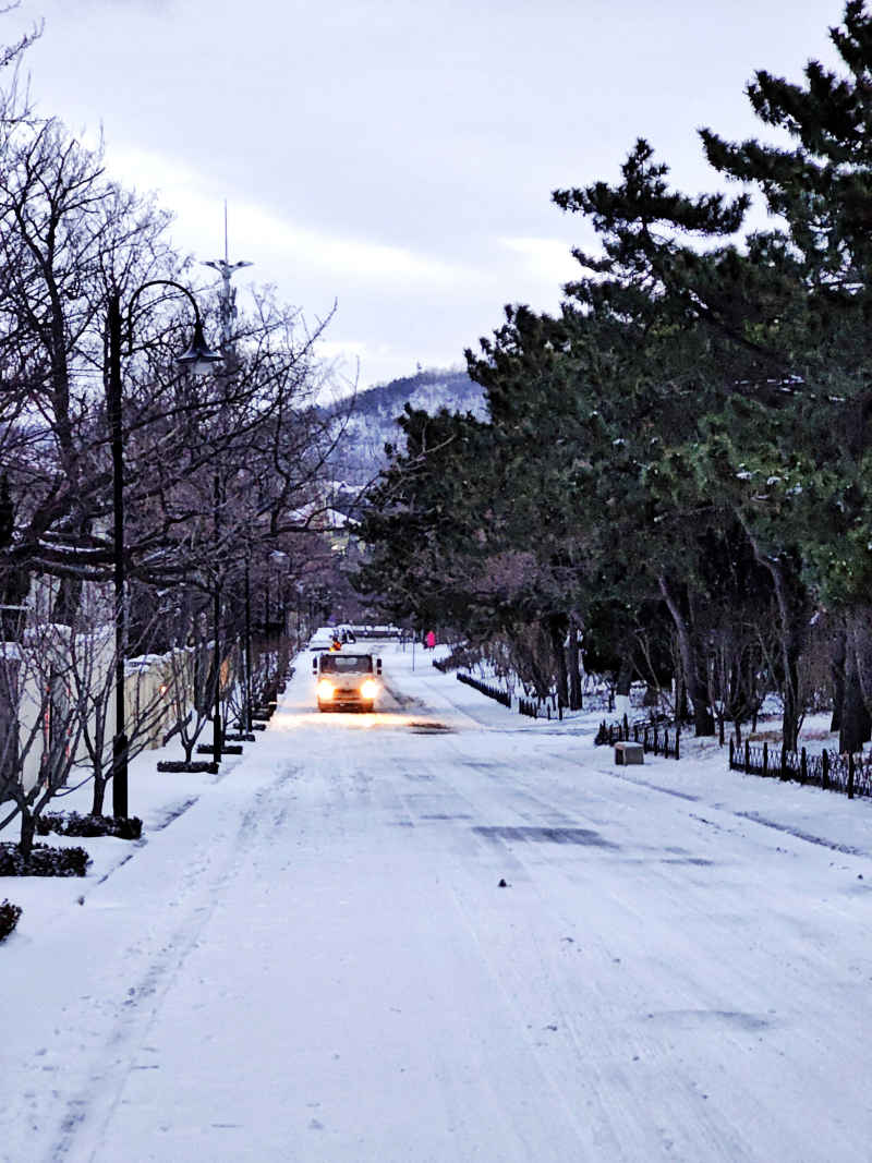 雪后清晨