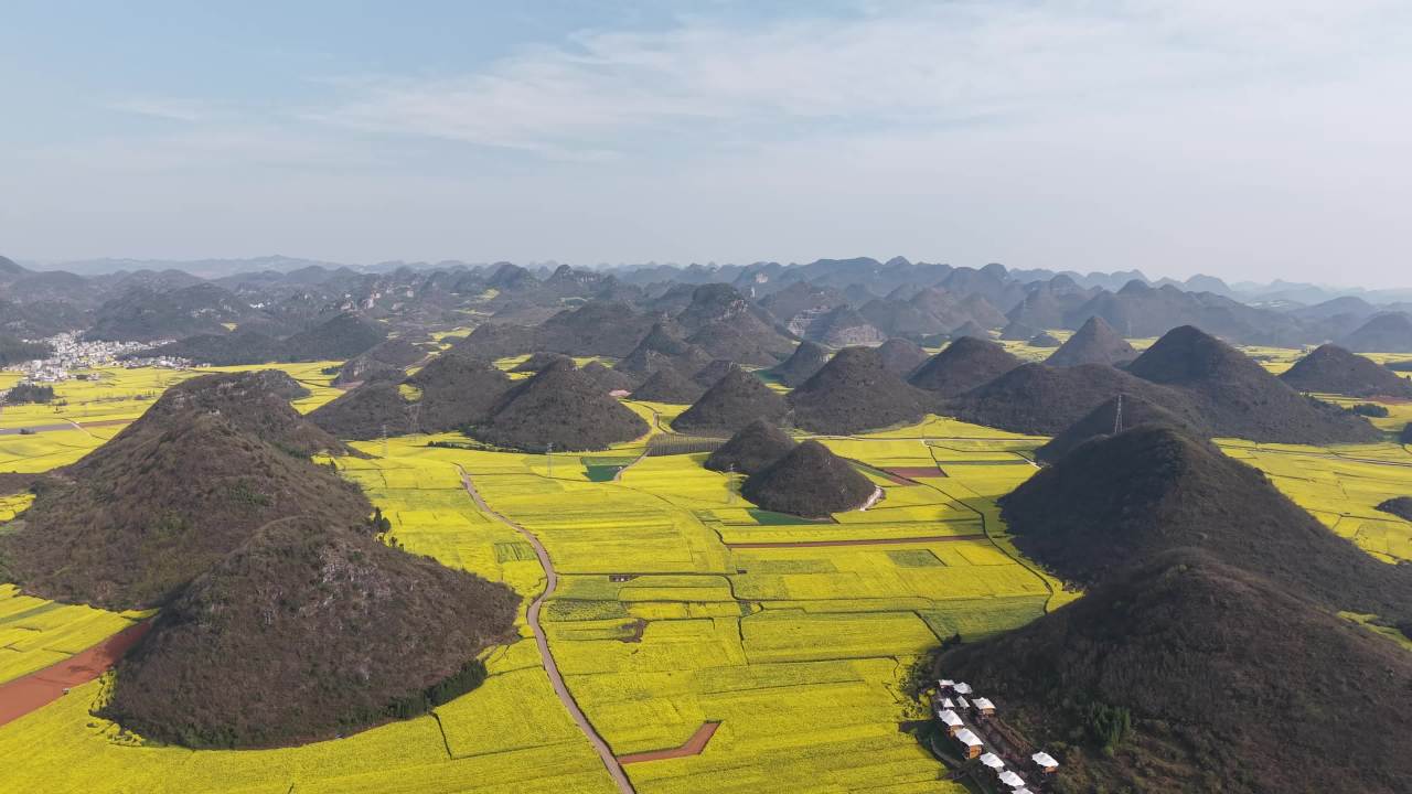 油菜花海与山地美景
