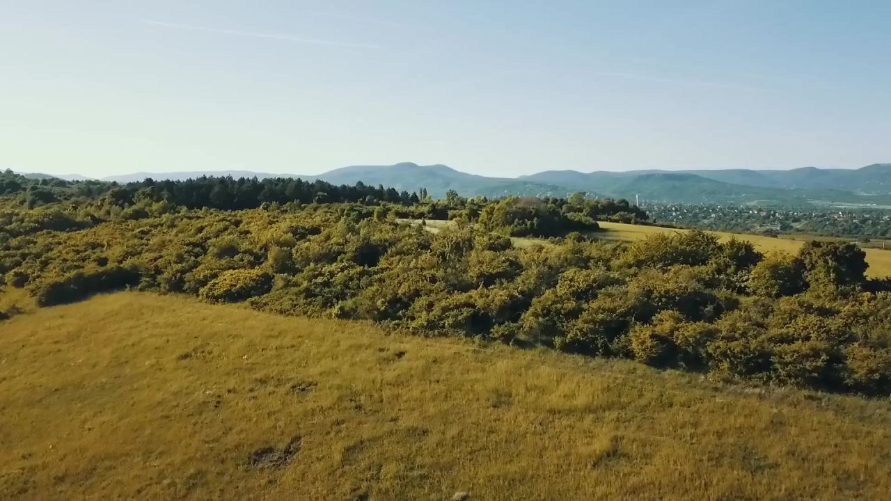 景观山小山在