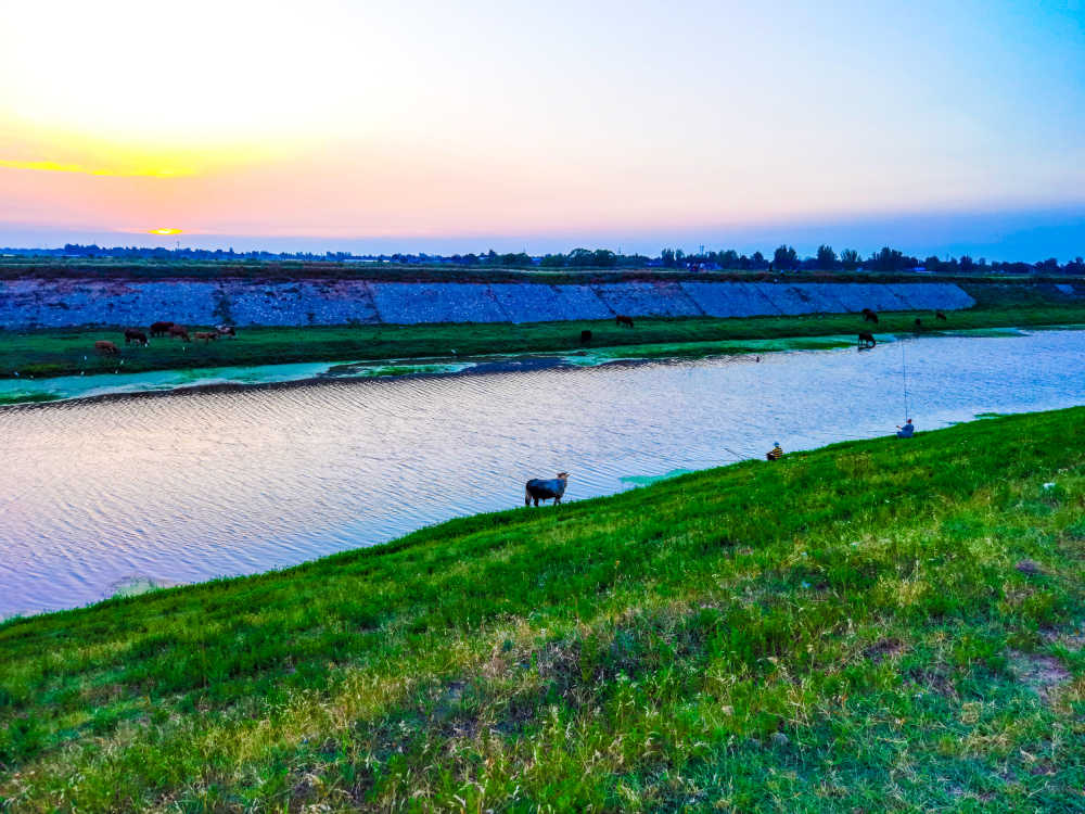 渭河湿地公园