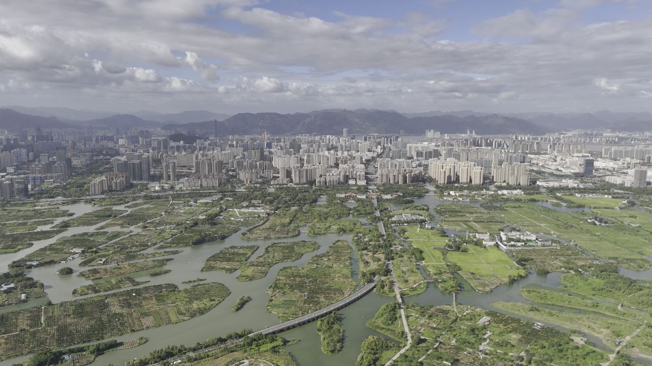 湿地与城市 8
