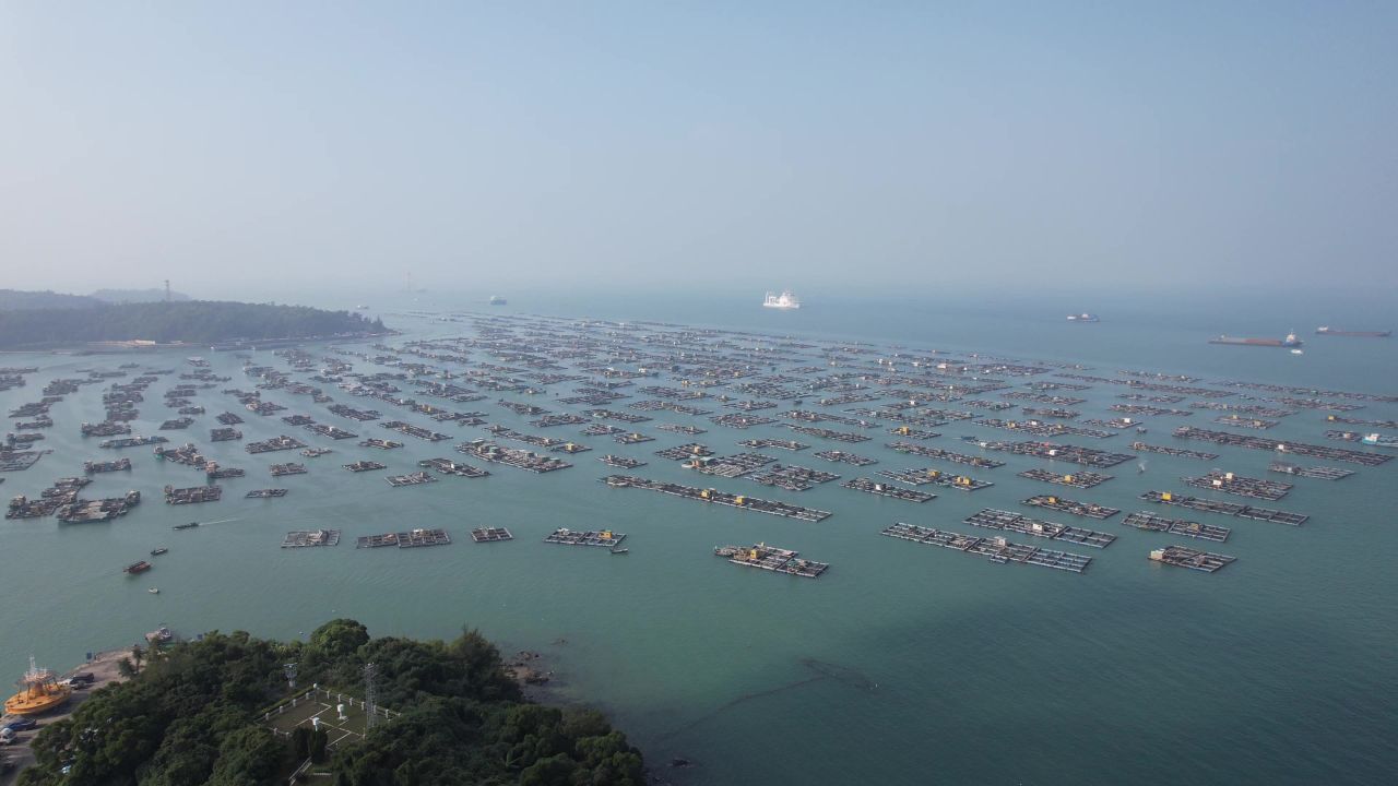 蓝色海洋大海海鲜养殖基地航拍 