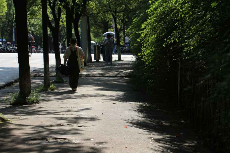 小路，阳光，路人。学生，走路
