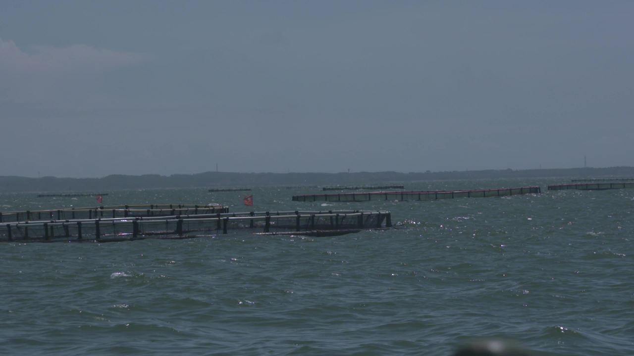 海洋牧场深海养殖