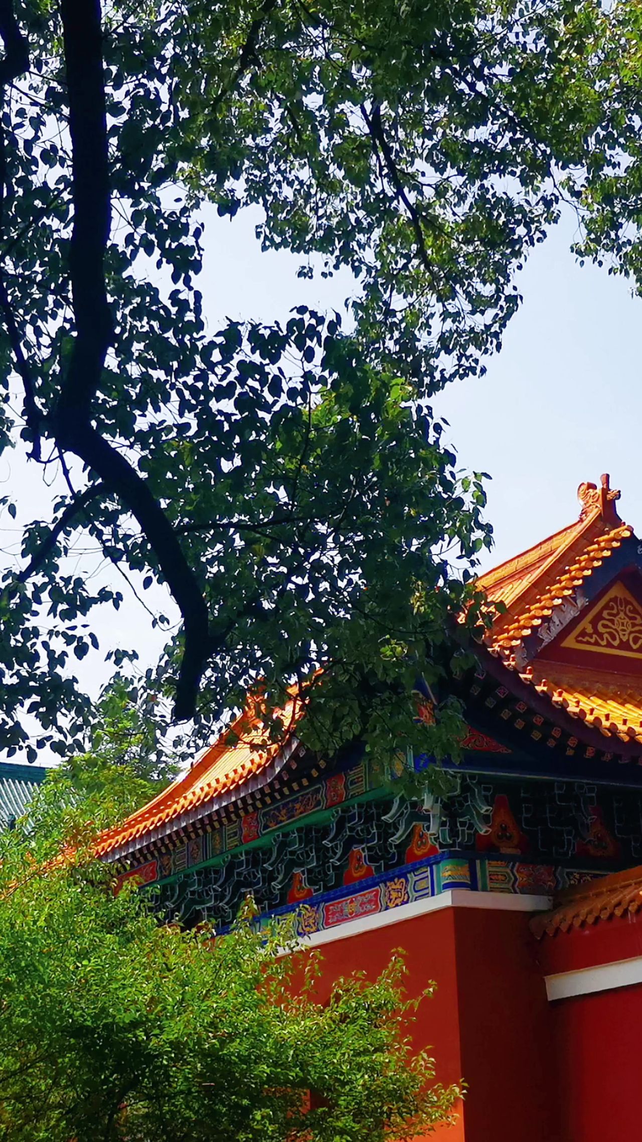 旅游景区湖南常德闯王陵竖屏