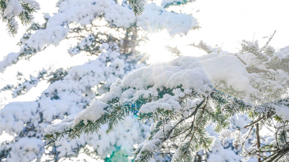 峨眉山雪