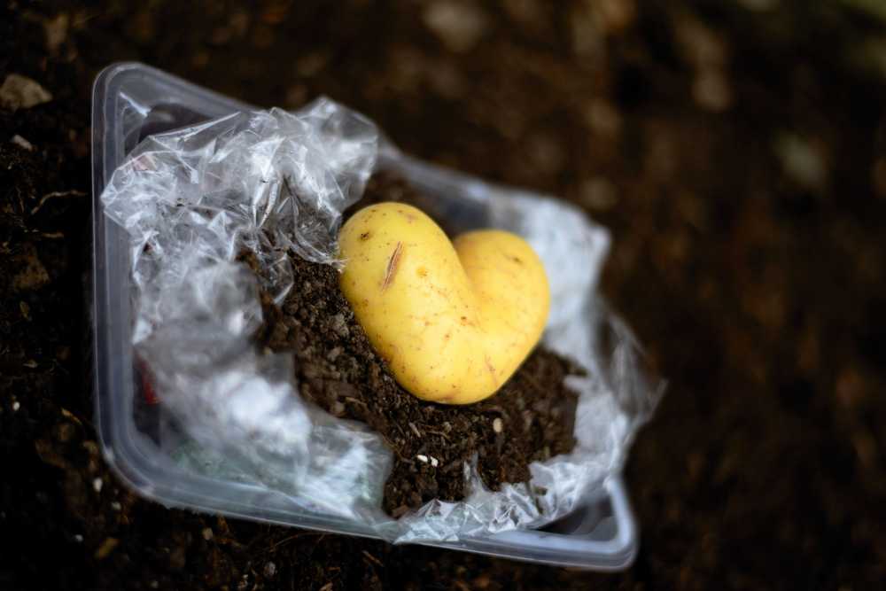 环保废塑料耕地马铃薯