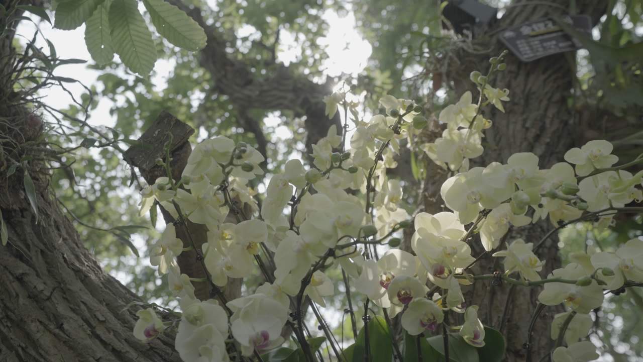 青秀山 23