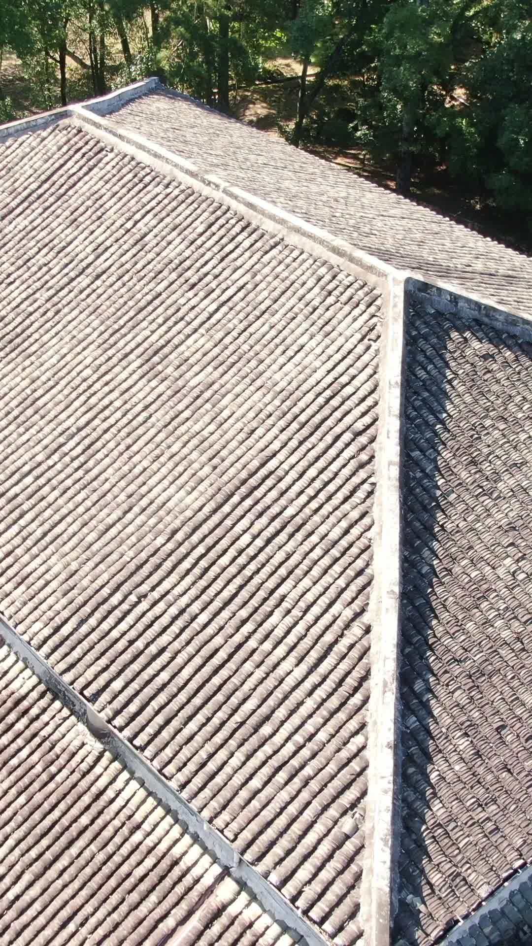 古建筑前的集体活动